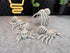 3D Printed Articulated Skeleton Spider Fidget Toy
